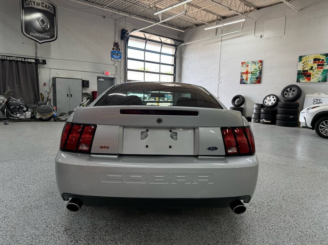 Used 2003 Ford Mustang Cobra RWD image 5