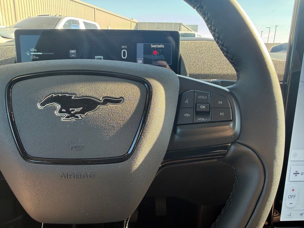 New 2025 Ford Mustang Mach-E Premium image 26