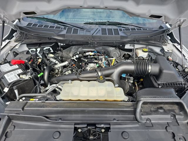 Used 2023 Ford F150 XL w/ STX Appearance Package AWD/4WD image 30