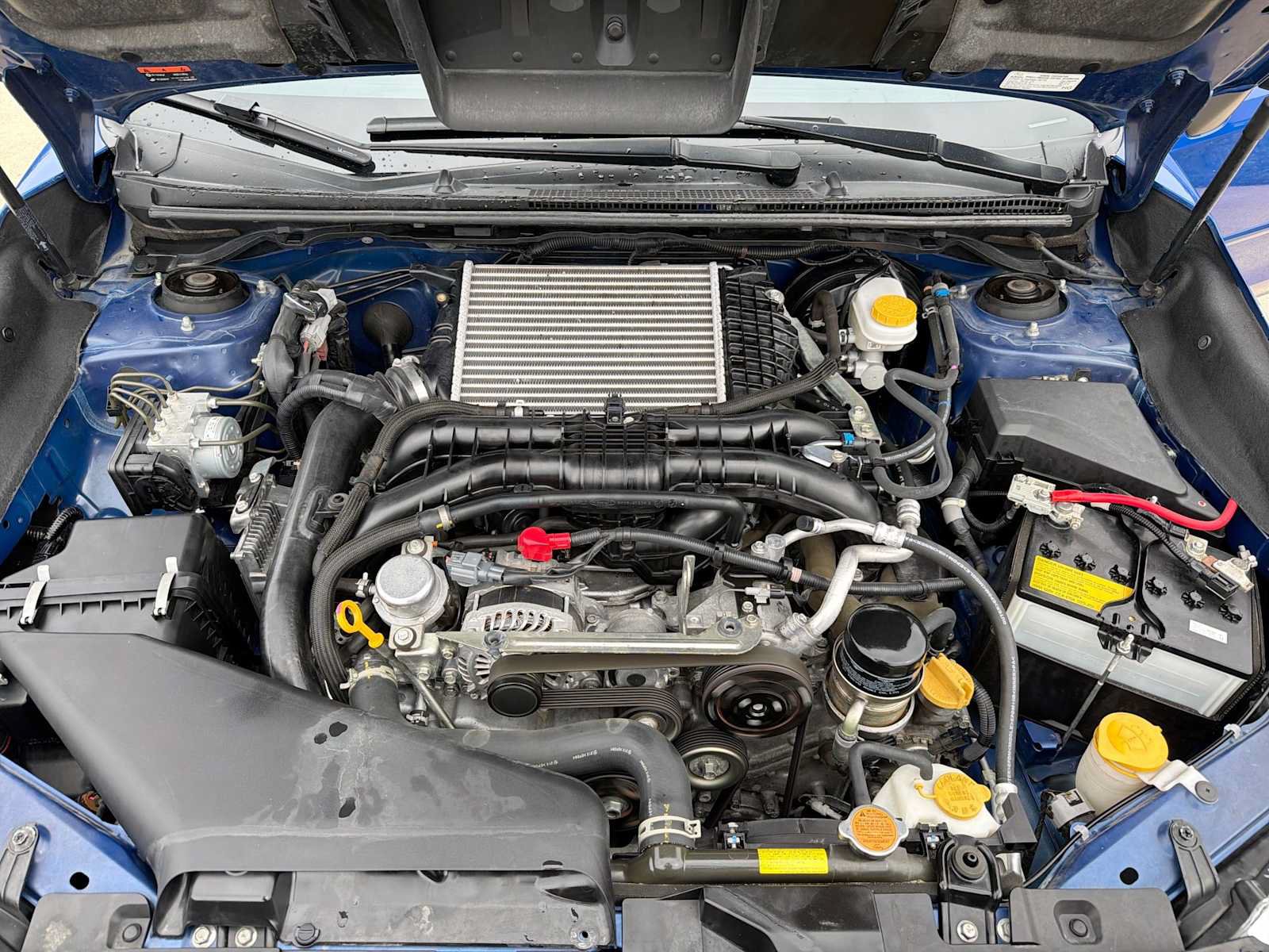 Used 2021 Subaru WRX AWD/4WD image 11
