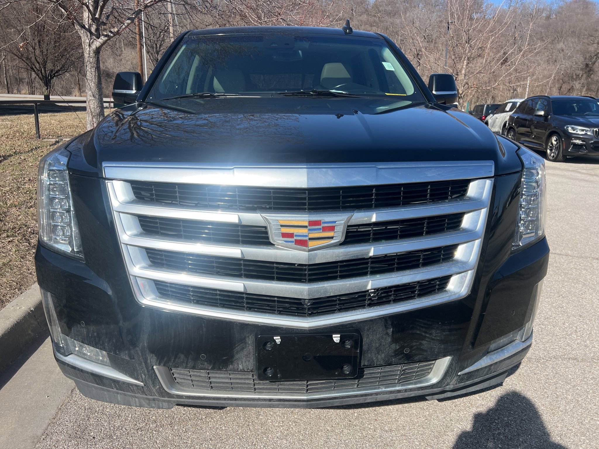 Used 2019 Cadillac Escalade Luxury image 2
