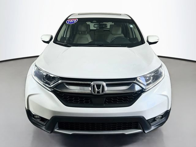 Used 2019 Honda CR-V EX-L image 3