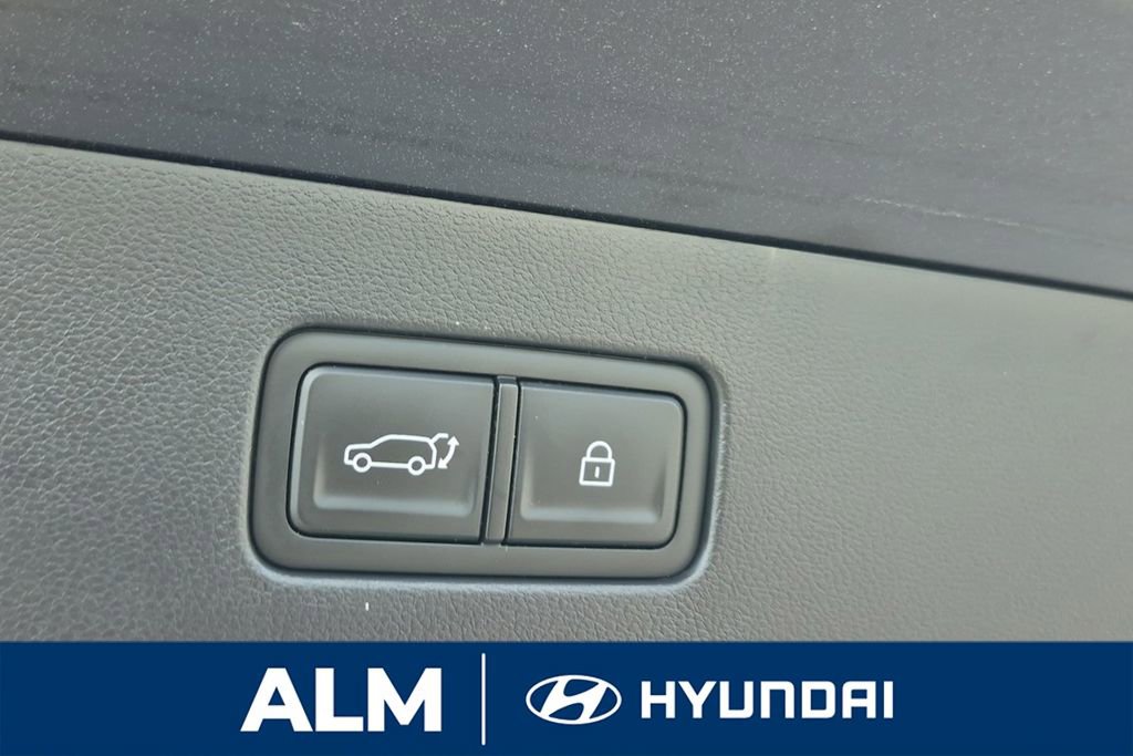 New 2026 Hyundai Ioniq 9 Calligraphy image 9