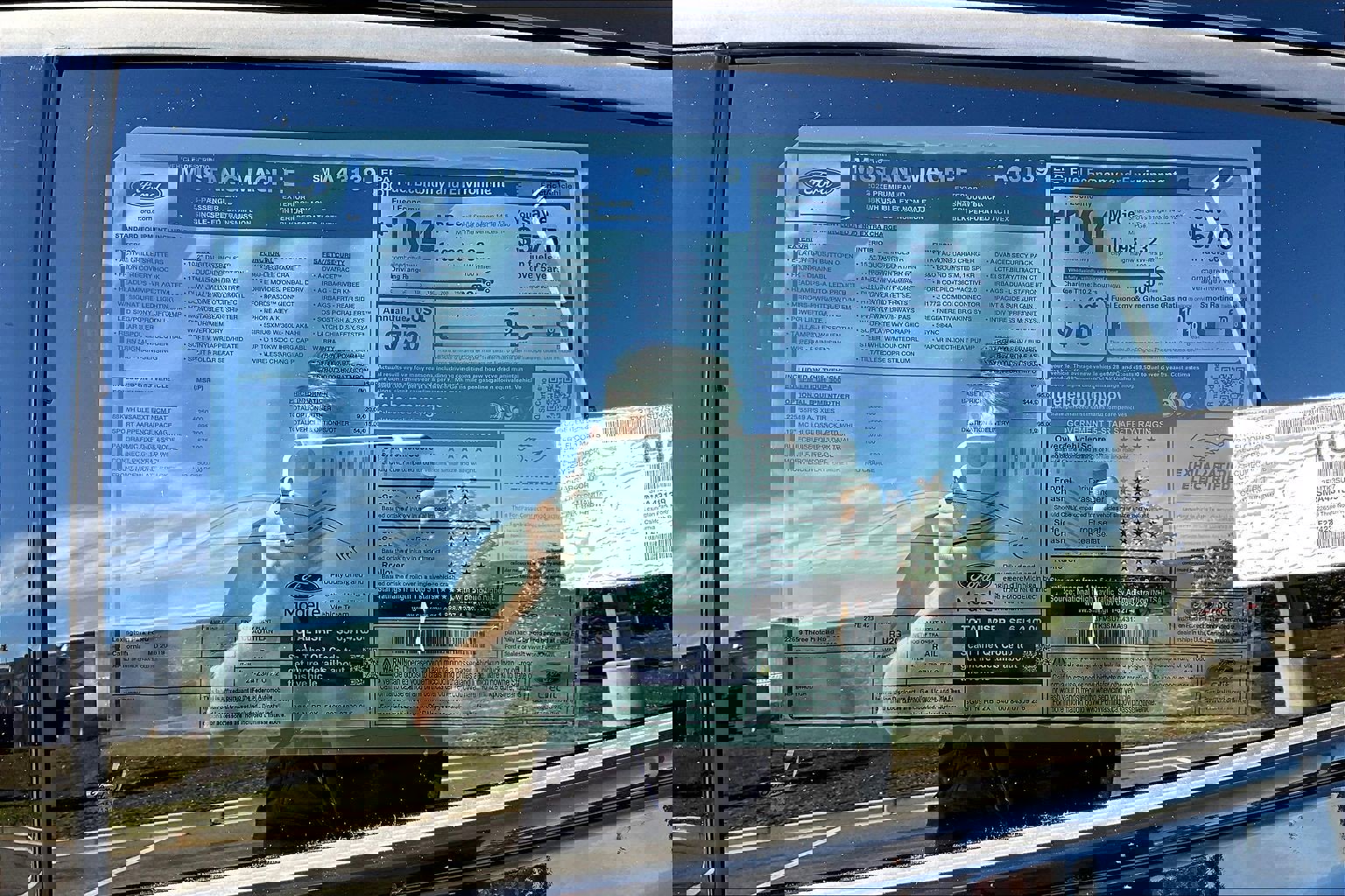 New 2025 Ford Mustang Mach-E Premium w/ Sport Appearance Package image 14