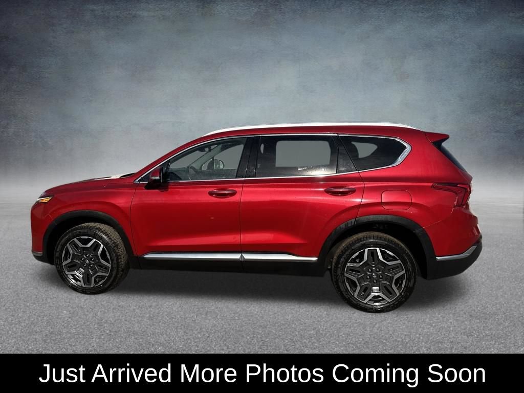 Used 2023 Hyundai Santa Fe Limited AWD/4WD image 2