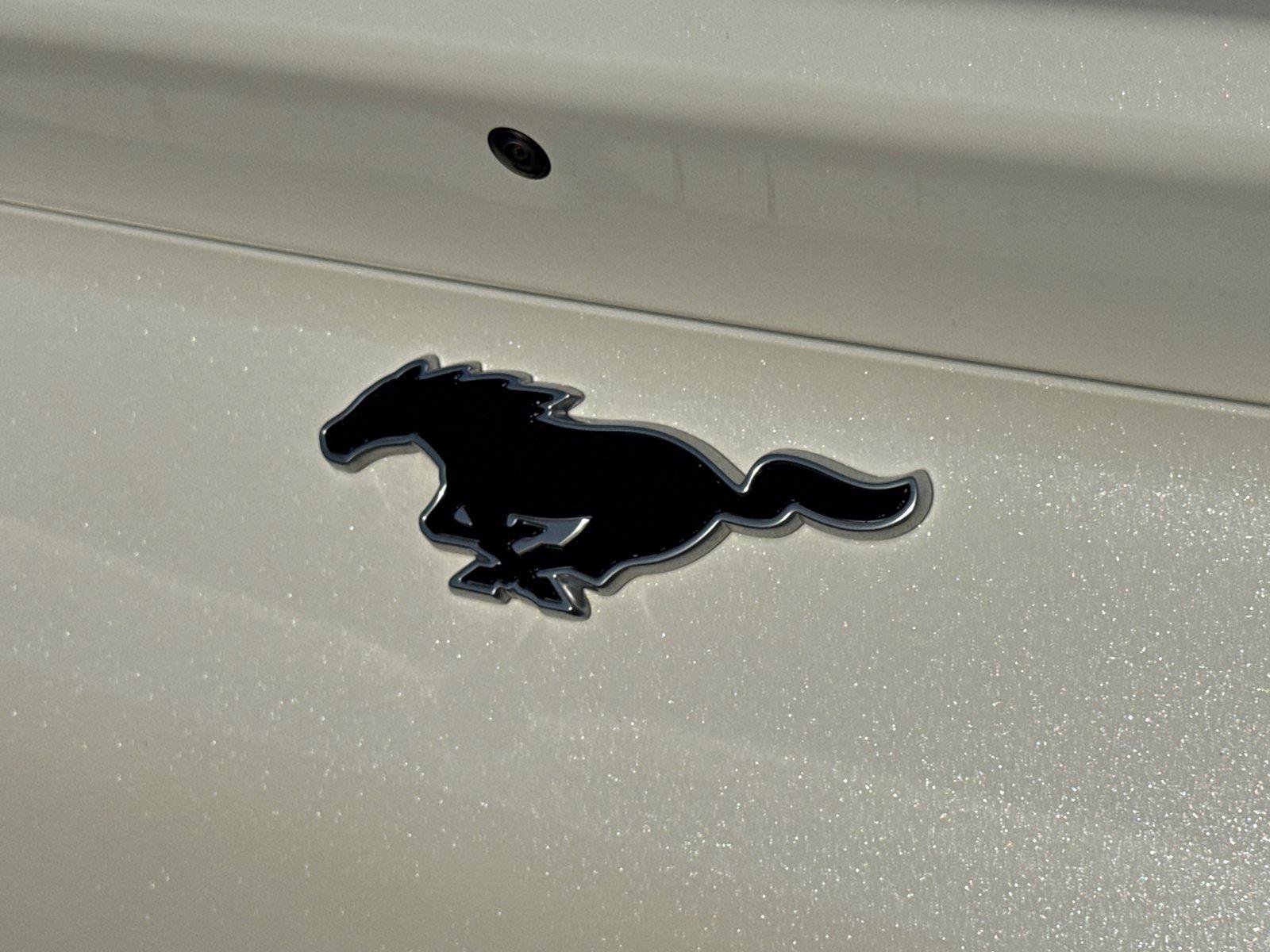 Certified 2023 Ford Mustang Mach-E Select RWD image 14