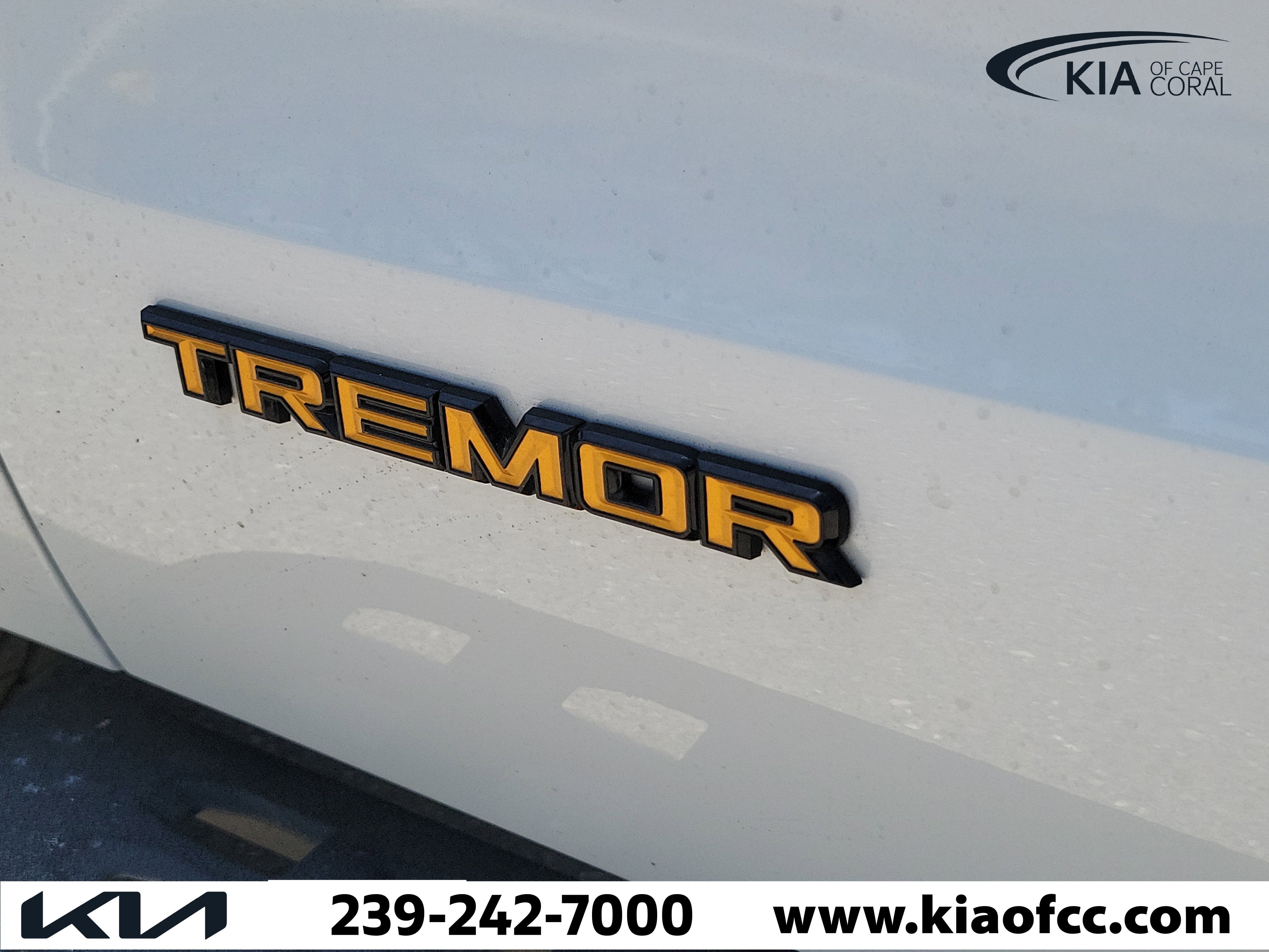 Used 2025 Ford Expedition Tremor image 9