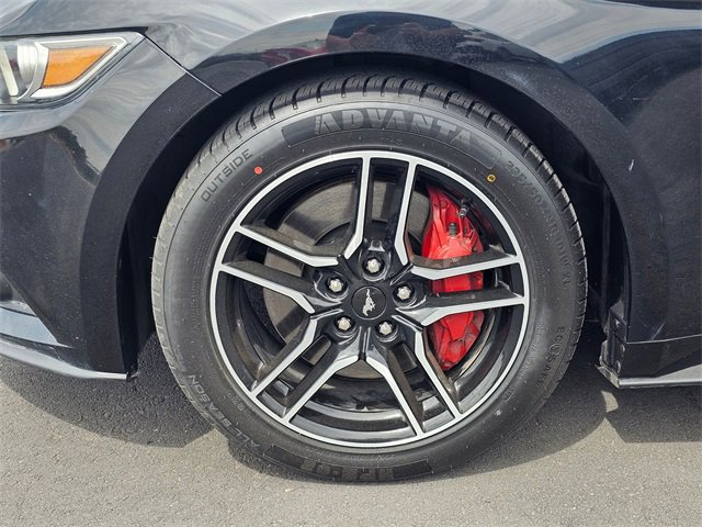 Used 2015 Ford Mustang GT Premium image 8