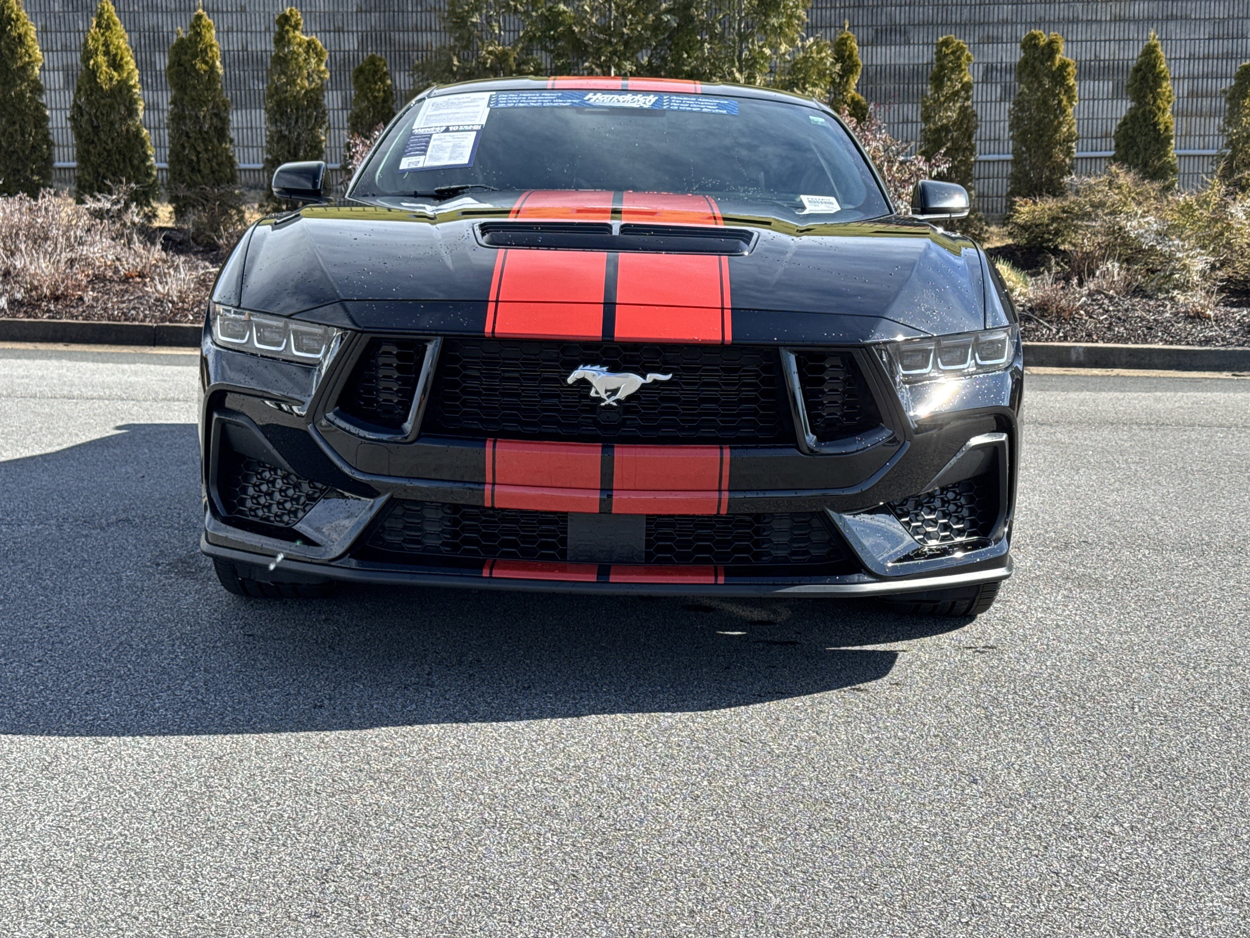 Used 2024 Ford Mustang GT Premium image 3