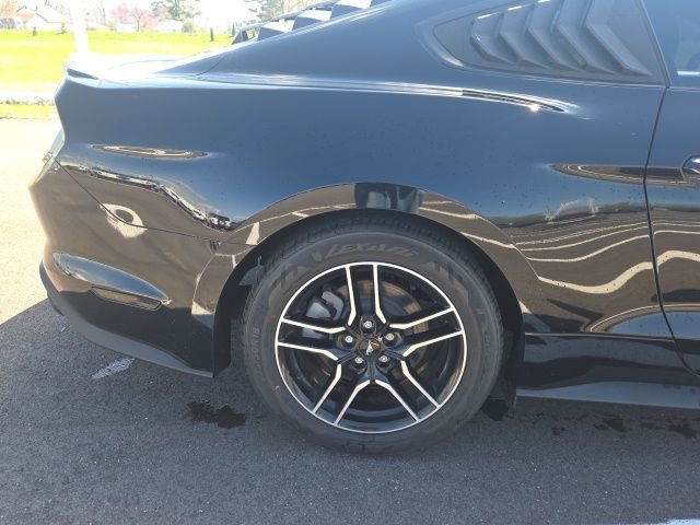 Used 2019 Ford Mustang Coupe w/ Equipment Group 101A image 7