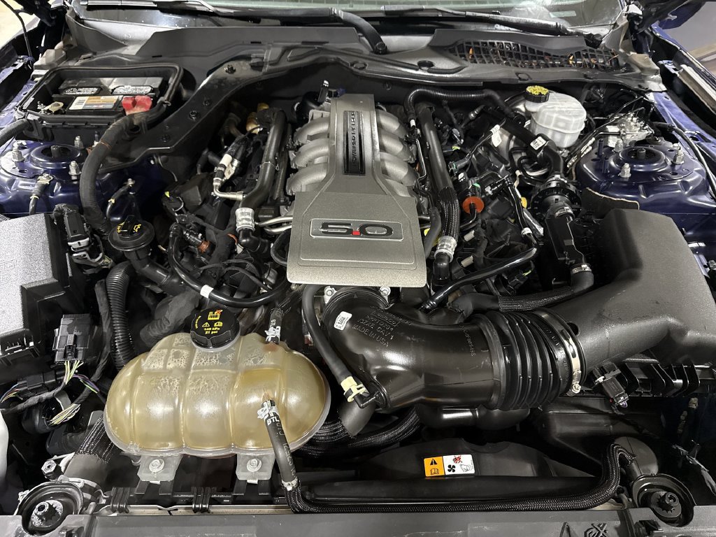 Used 2018 Ford Mustang GT RWD image 24