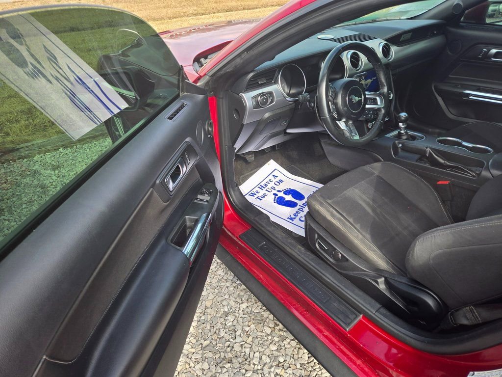 Used 2019 Ford Mustang EcoBoost w/ Equipment Group 101A image 5