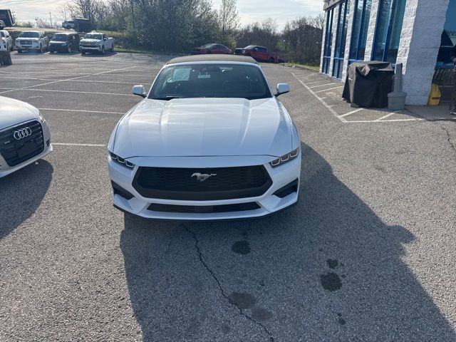 Used 2024 Ford Mustang Premium RWD image 2