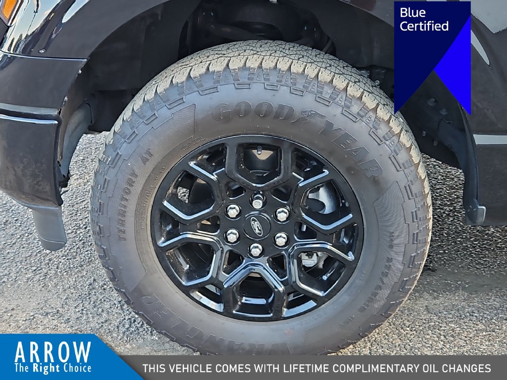 Certified 2024 Ford F150 XLT w/ Equipment Group 302A MID AWD/4WD image 17