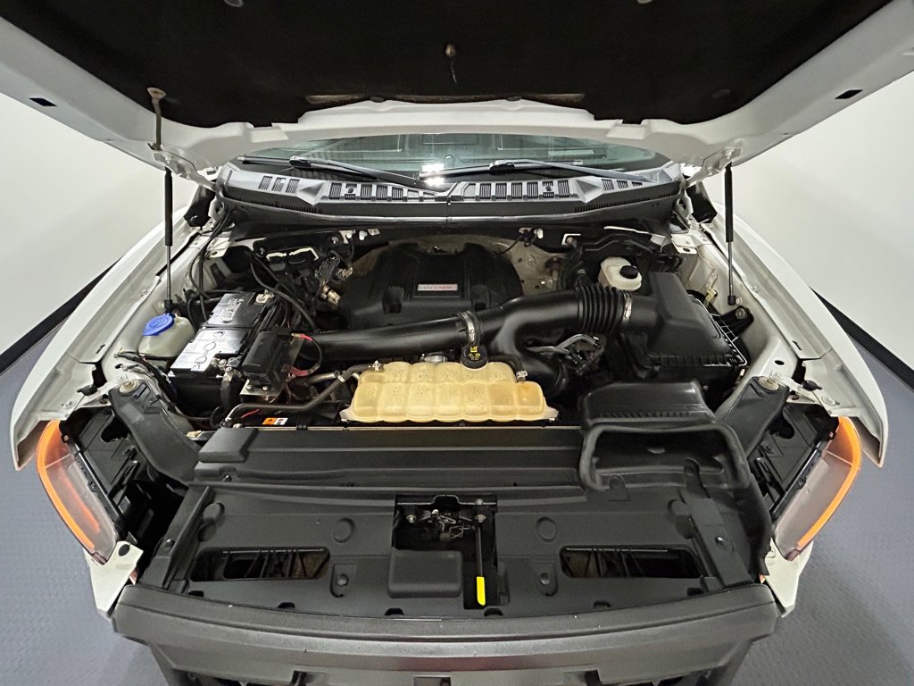 Used 2018 Ford F150 Raptor w/ Equipment Group 802A Luxury image 18