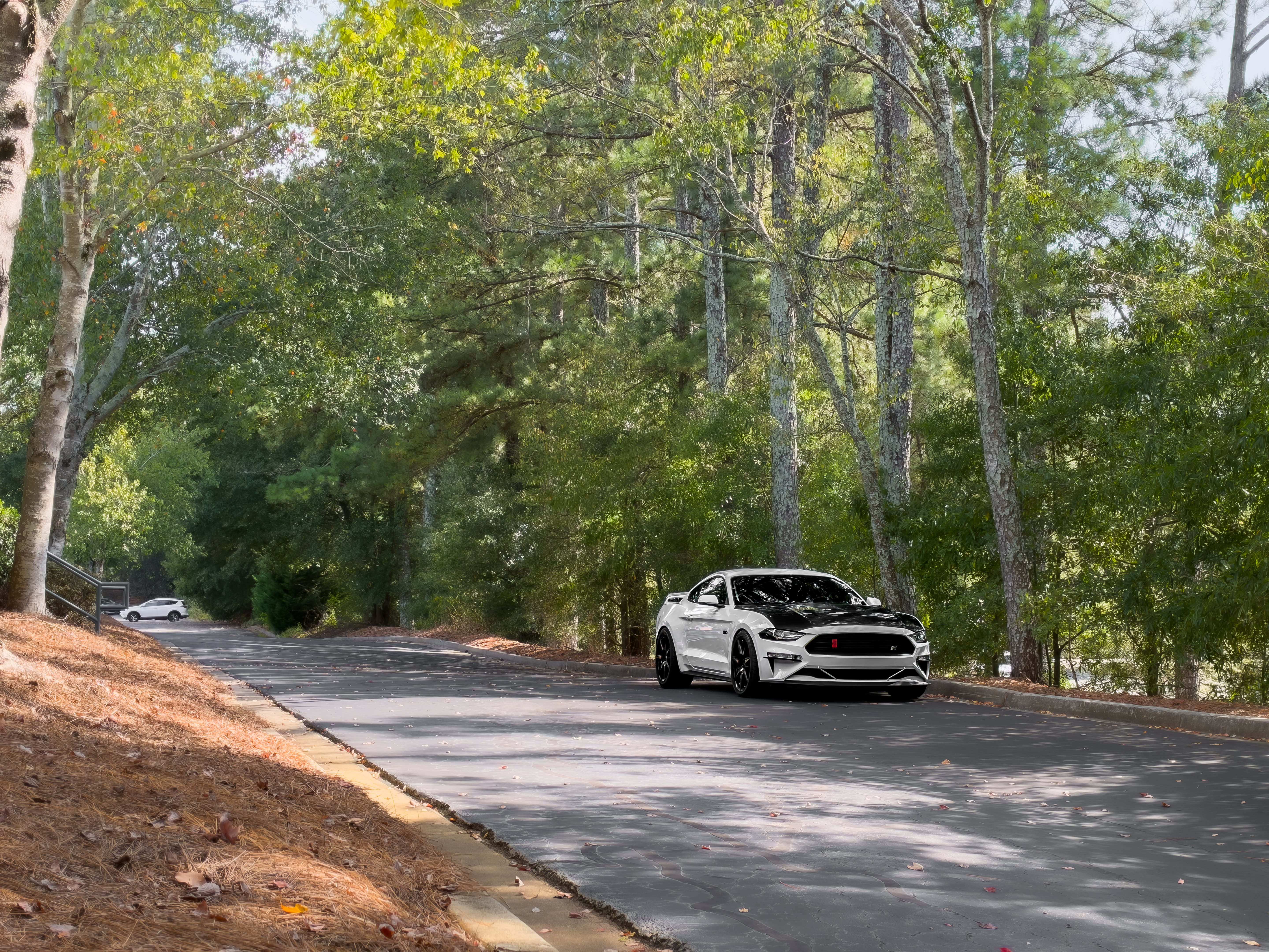 Used 2019 Ford Mustang GT Premium w/ GT Performance Package RWD image 35