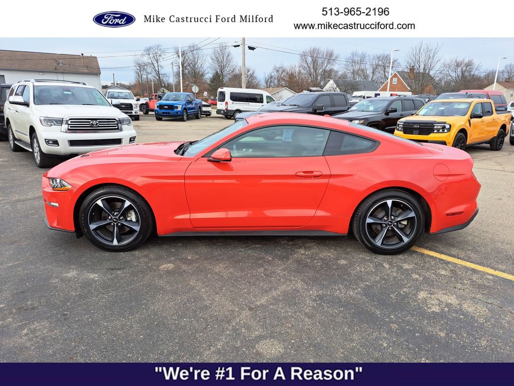 Certified 2019 Ford Mustang Coupe image 2