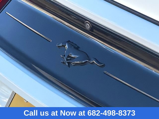 Certified 2022 Ford Mustang EcoBoost w/ Equipment Group 101A image 10