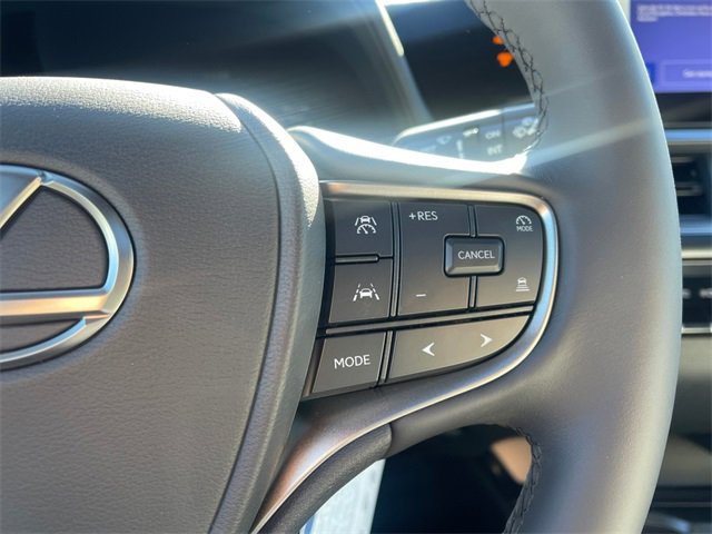 New 2025 Lexus UX 300h AWD image 21