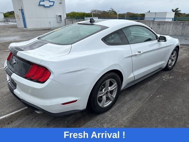 Used 2023 Ford Mustang Coupe RWD image 13