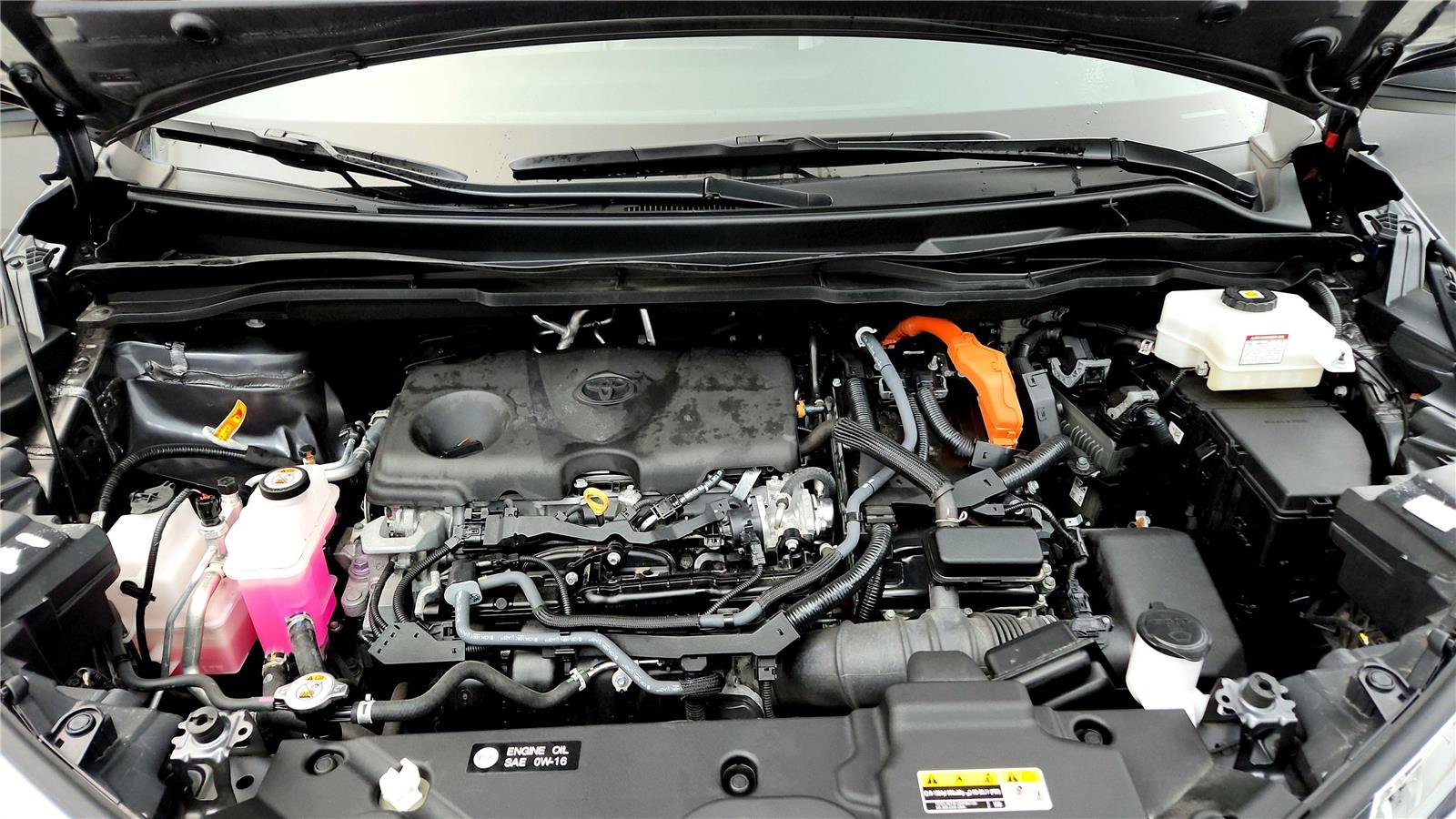 Certified 2025 Toyota Sienna XLE w/ XLE Plus Package image 15