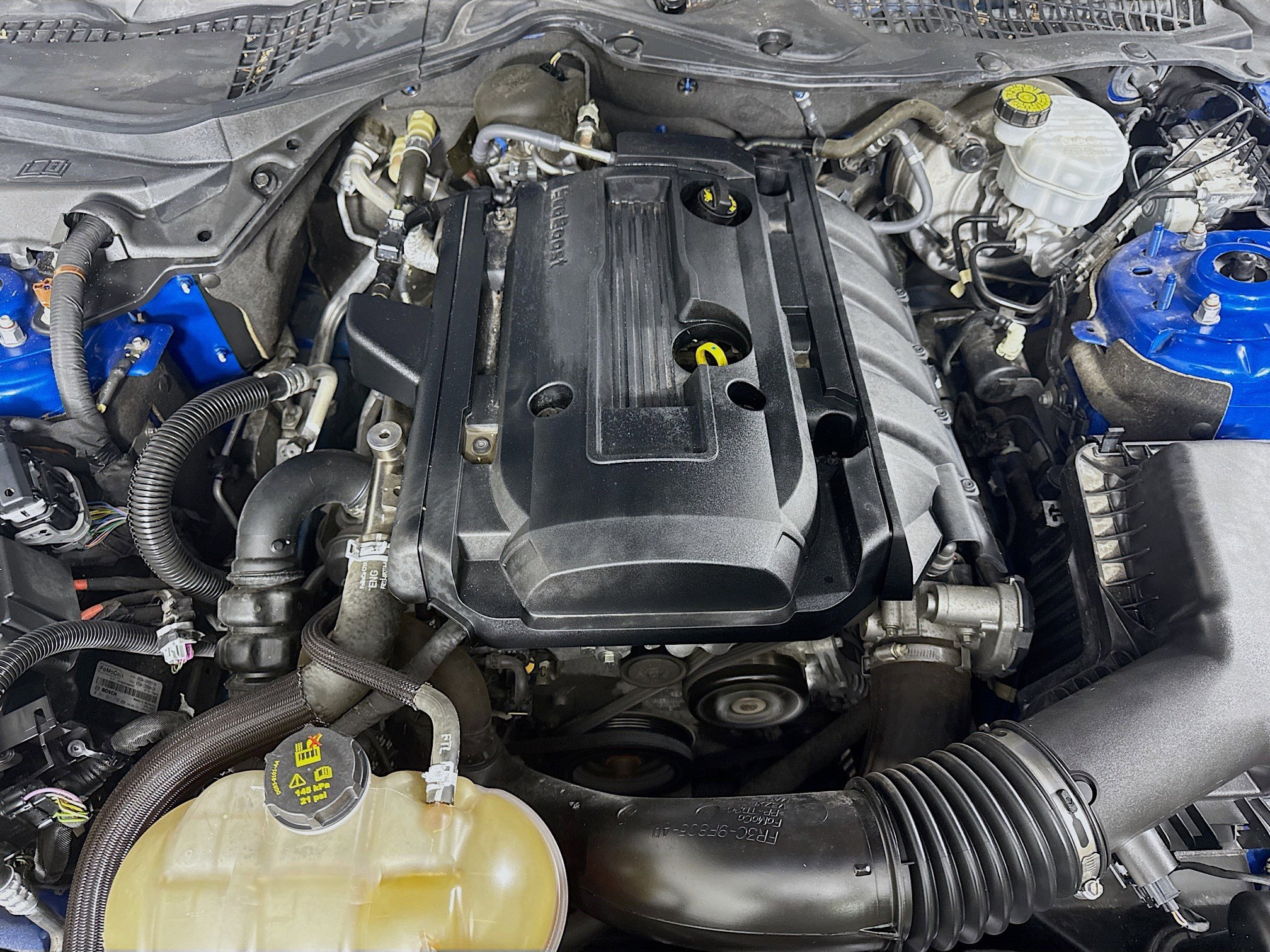 Used 2019 Ford Mustang EcoBoost w/ Wheel & Stripe Package image 37