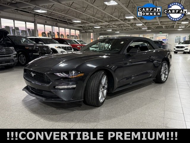 Used 2022 Ford Mustang Premium w/ Equipment Group 201A image 4