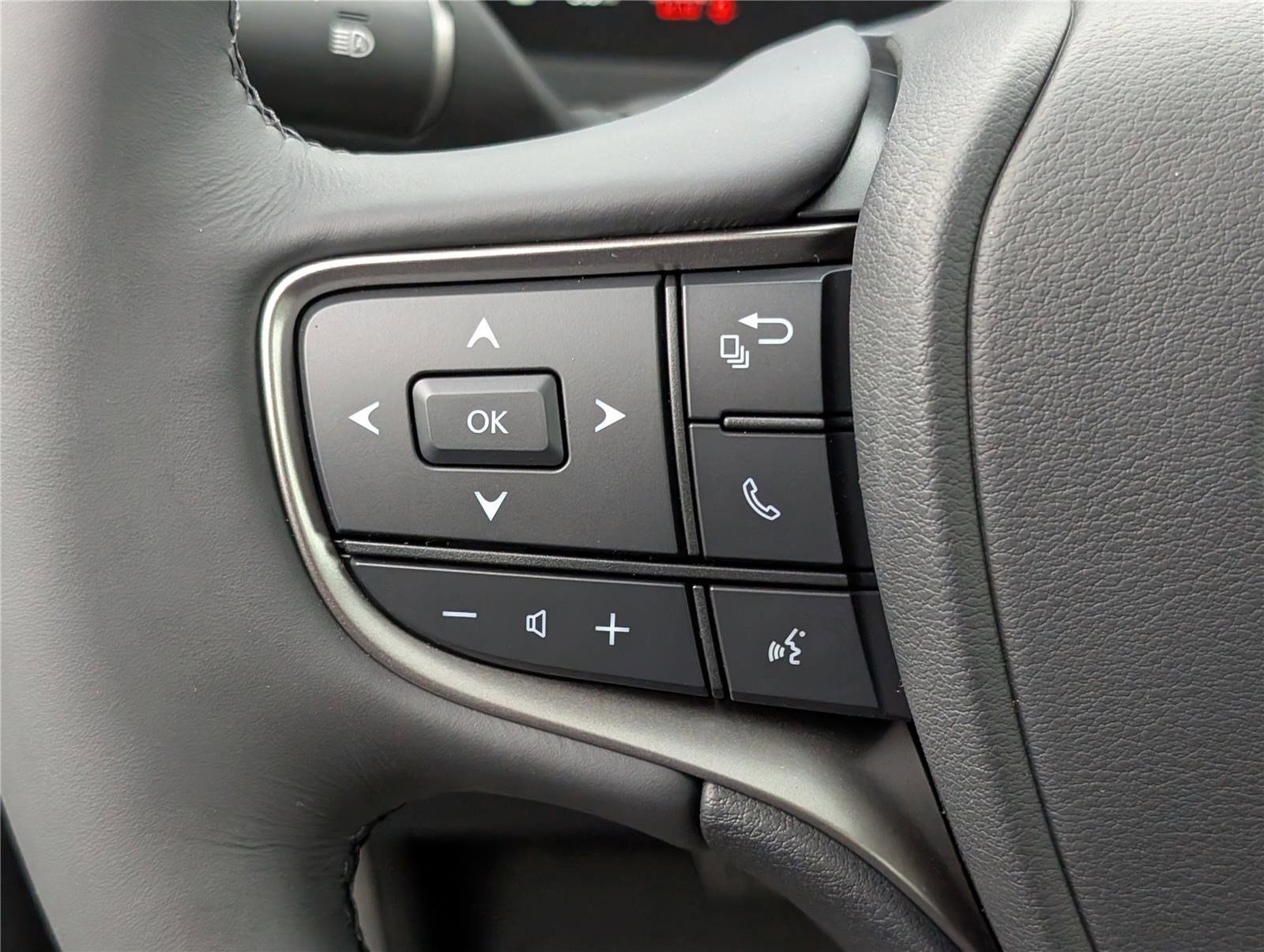 New 2025 Lexus UX 300h AWD image 19