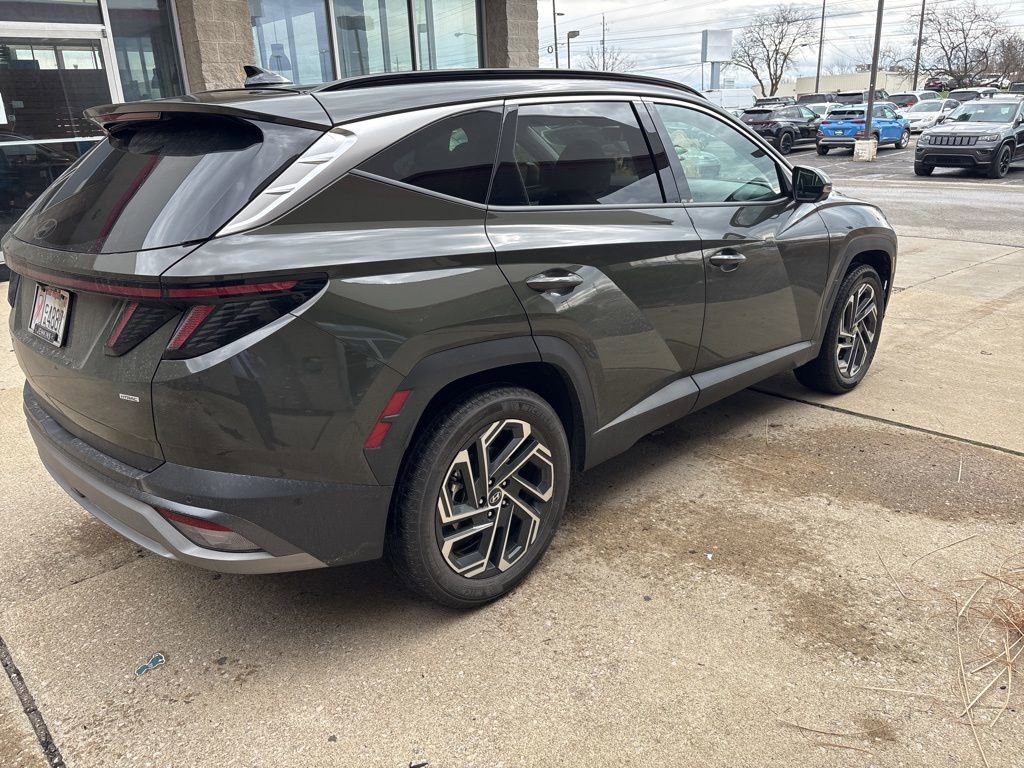 Used 2025 Hyundai Tucson Limited image 6