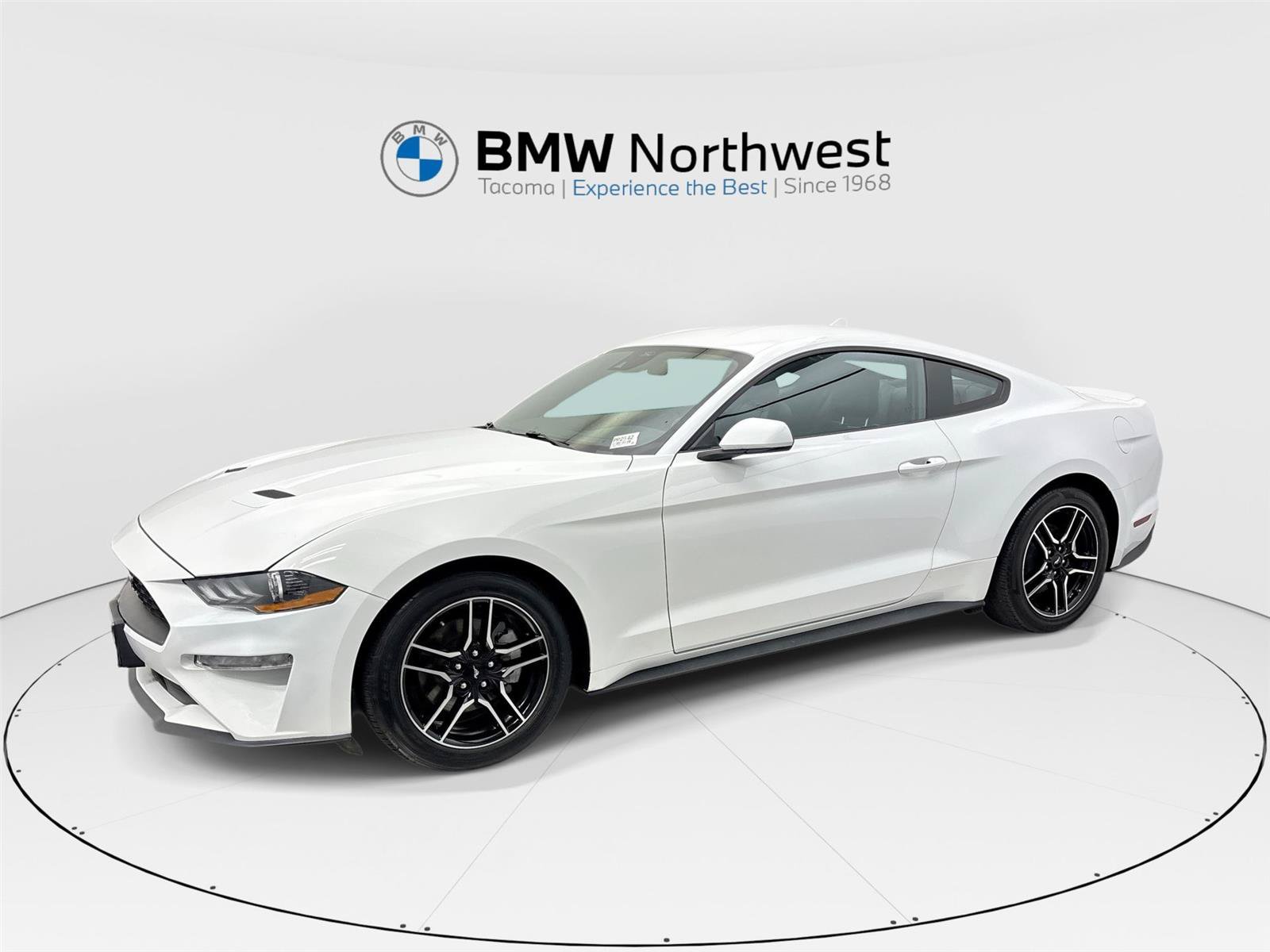 Used 2023 Ford Mustang Premium RWD image 1