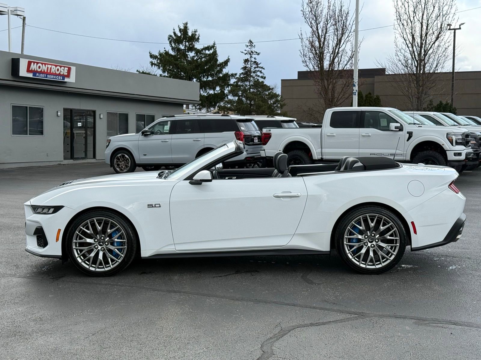 Used 2024 Ford Mustang GT Premium image 6