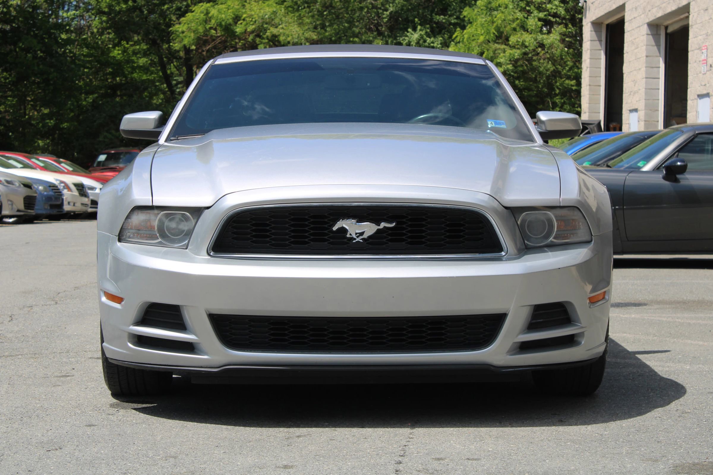 Used 2014 Ford Mustang Premium RWD image 3