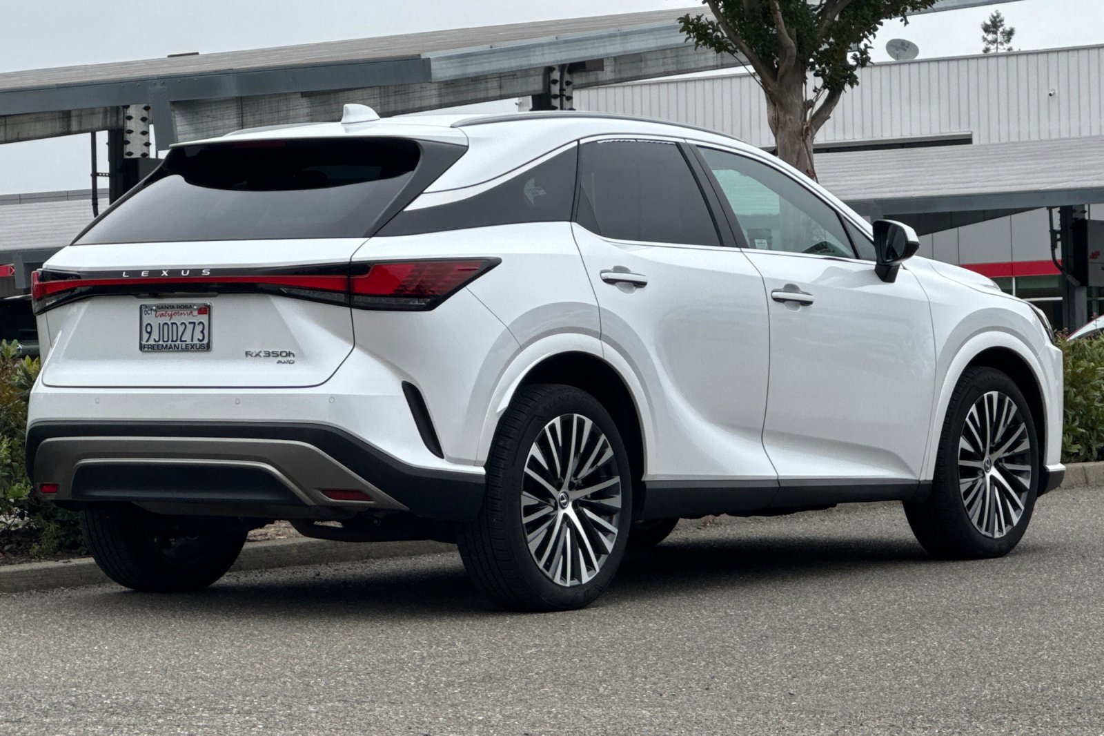 Used 2023 Lexus RX 350 w/ Cold Area Package AWD/4WD image 4
