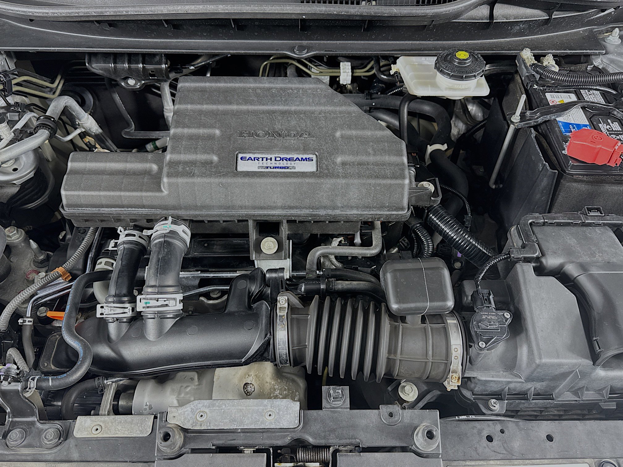 Certified 2019 Honda CR-V EX-L image 29