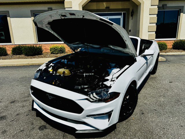 Used 2018 Ford Mustang Convertible w/ Equipment Group 101A image 15