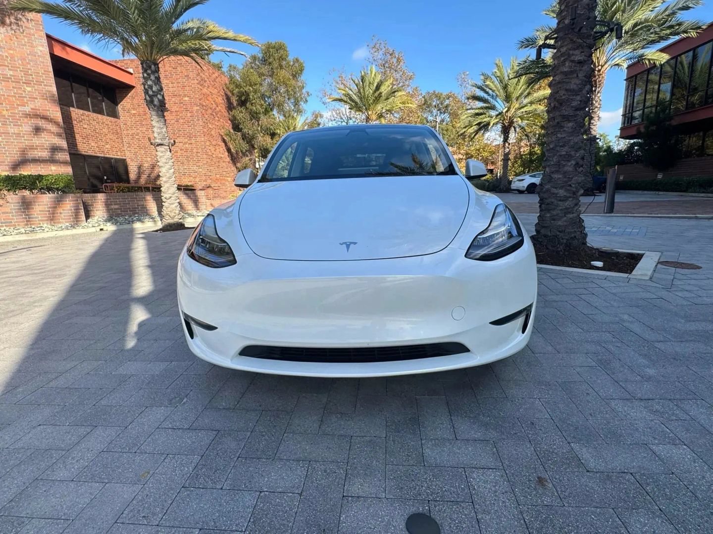 Used 2021 Tesla Model Y Long Range AWD/4WD image 3