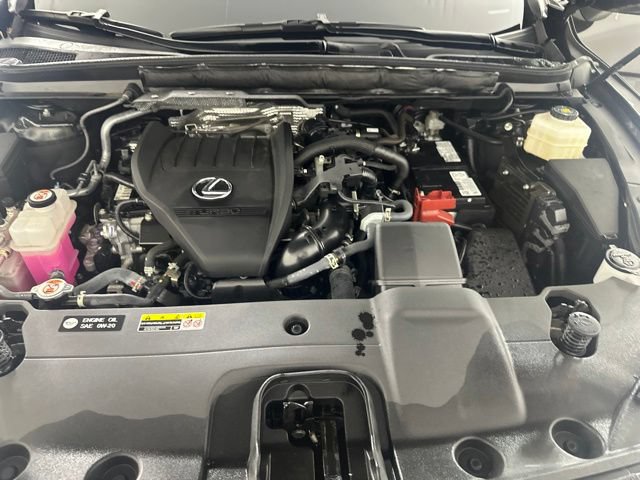 Used 2024 Lexus RX 350 Premium w/ Cold Area Package AWD/4WD image 12