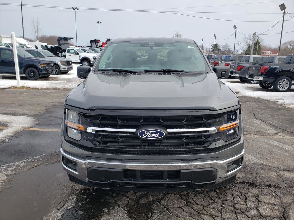 New 2025 Ford F150 XLT w/ Equipment Group 301A Standard image 4