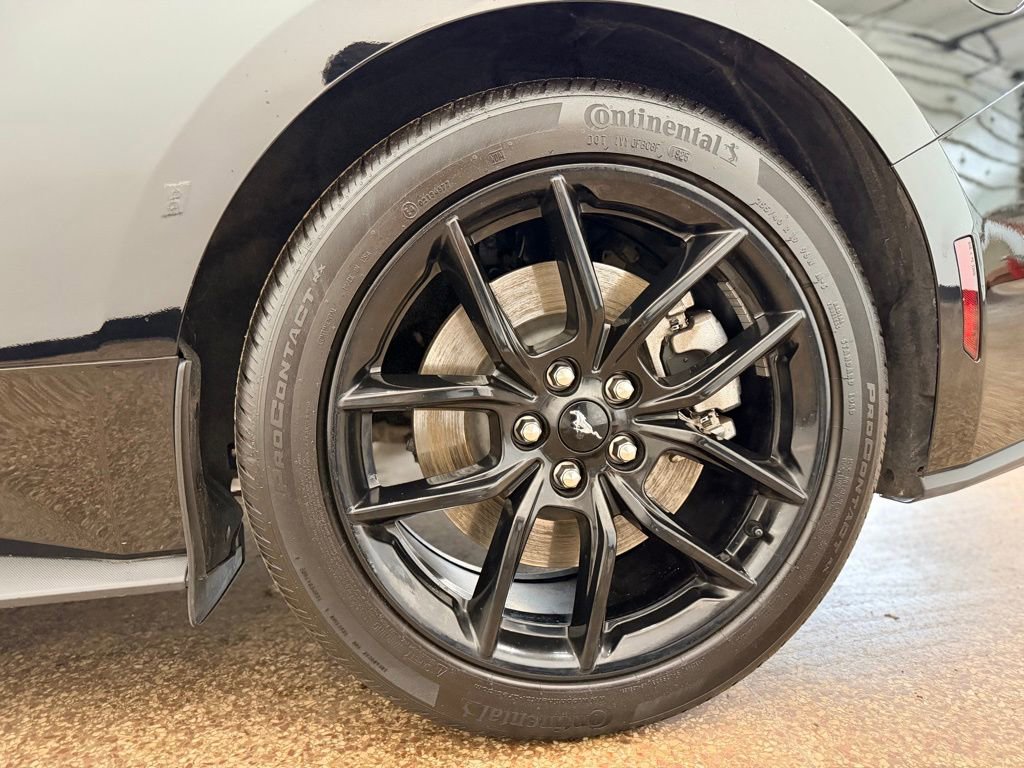 Used 2025 Ford Mustang GT w/ Mustang Nite Pony Package image 22