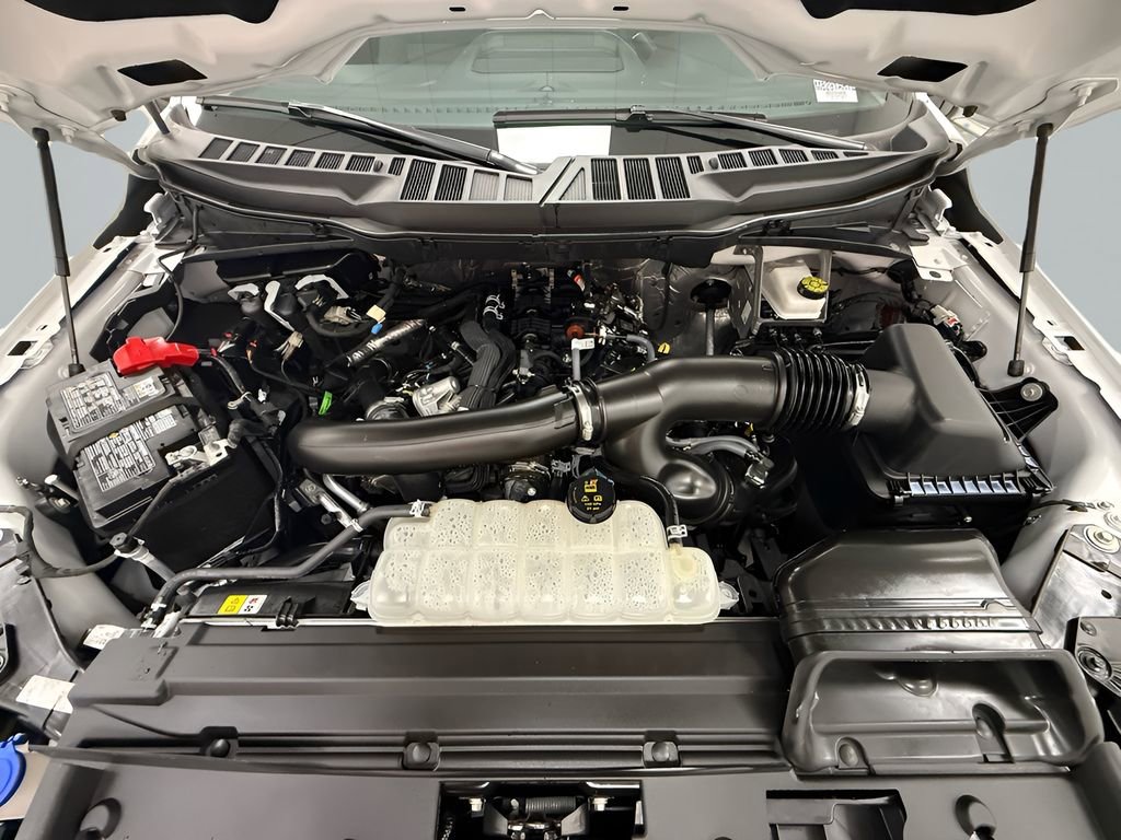 Used 2025 Ford F150 XLT w/ Equipment Group 301A Standard image 19