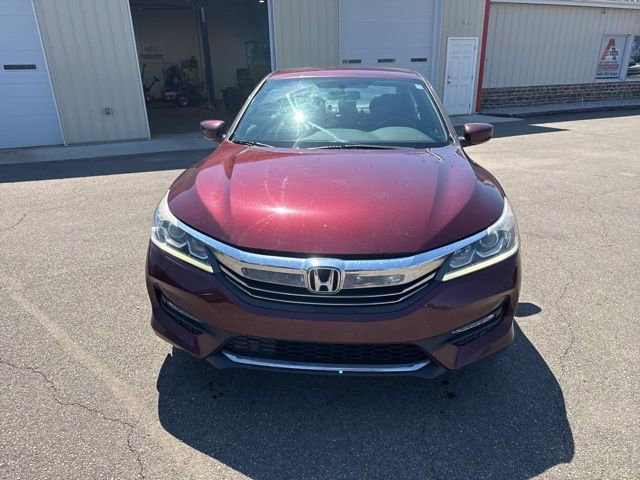 Used 2017 Honda Accord Sport Special Edition image 8