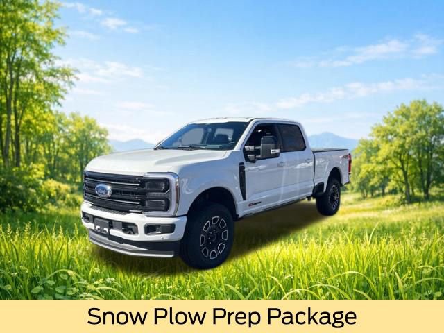 New 2026 Ford F250 Platinum image 3