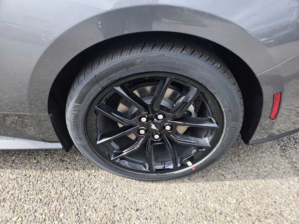 New 2026 Ford Mustang Premium w/ Mustang Nite Pony Package image 9