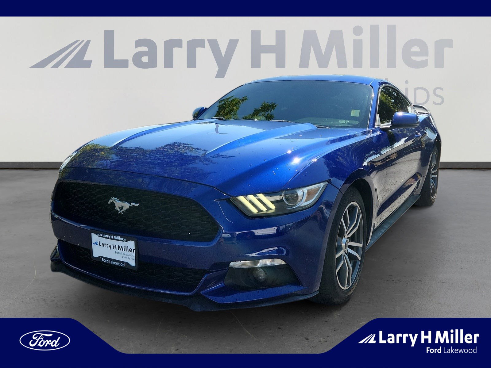 Used 2016 Ford Mustang Premium w/ Equipment Group 201A