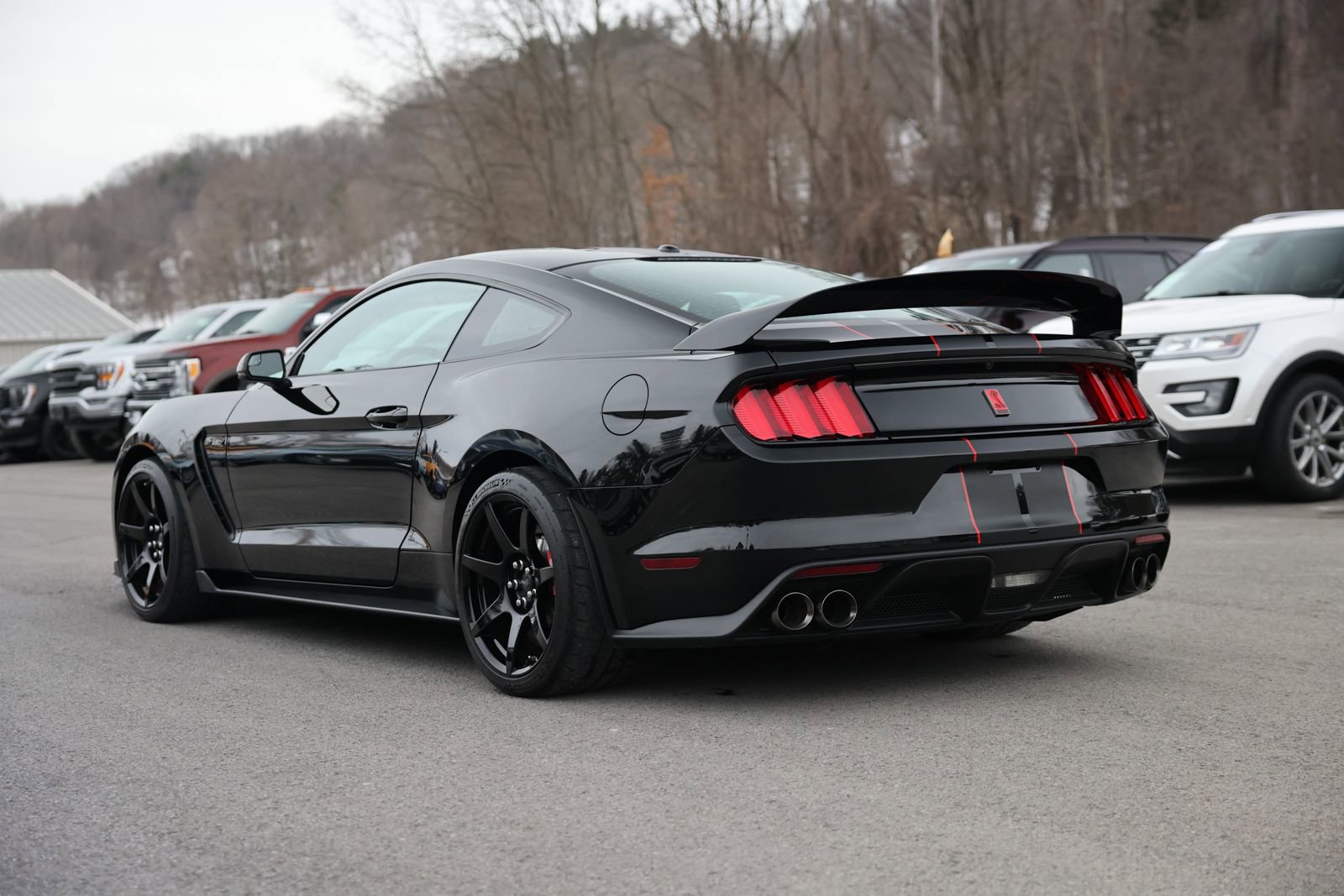 Used 2017 Ford Mustang Shelby GT350R w/ GT350R Equipment Group 920A image 5