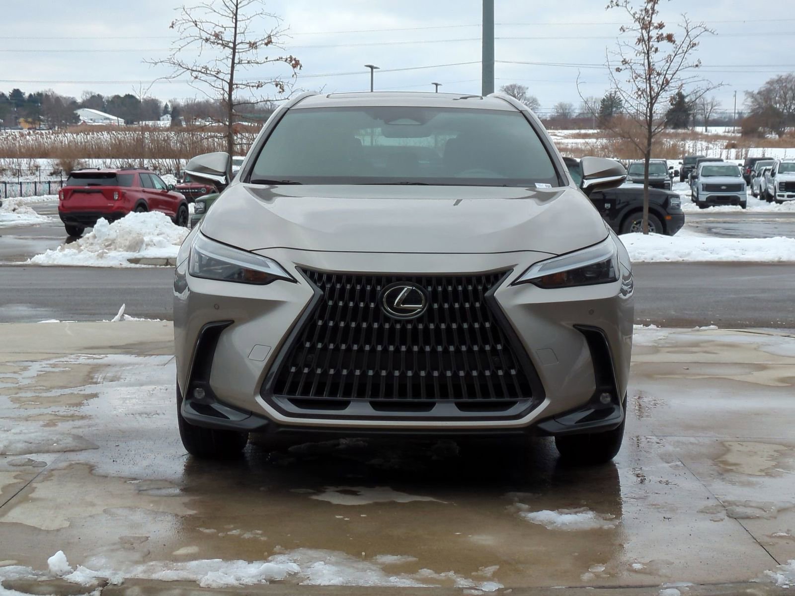 Used 2023 Lexus NX 350 AWD w/ Cold Area Package image 12