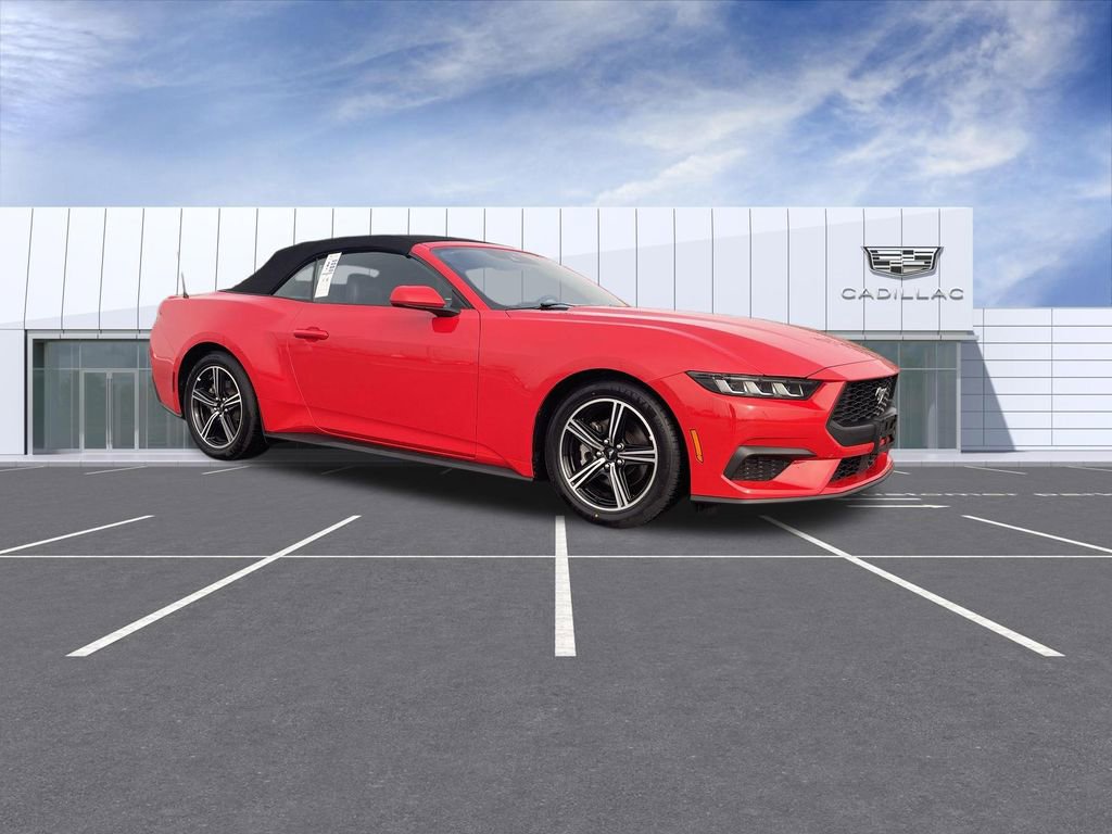 Used 2025 Ford Mustang Premium image 2