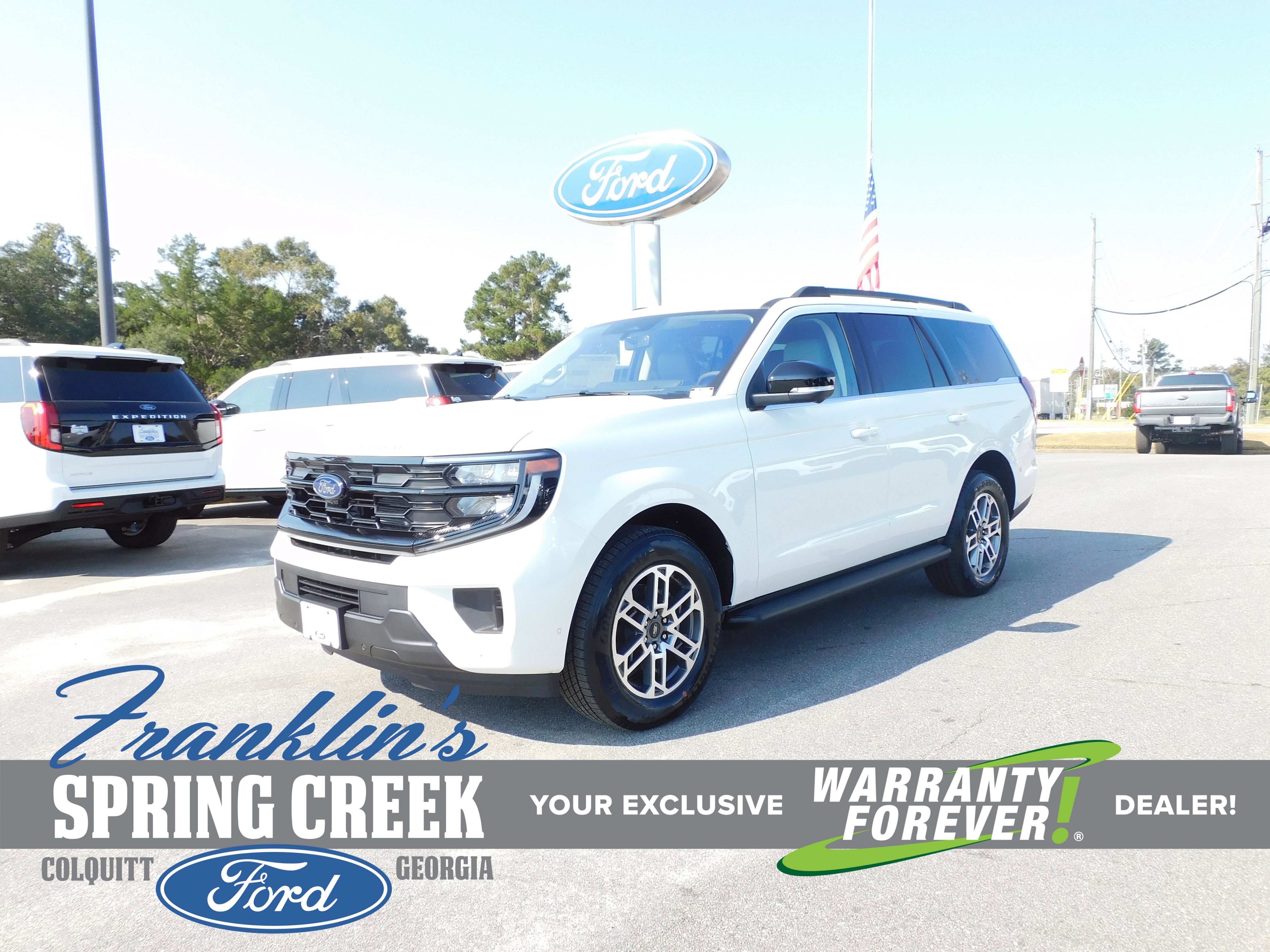 New 2025 Ford Expedition Active image 1