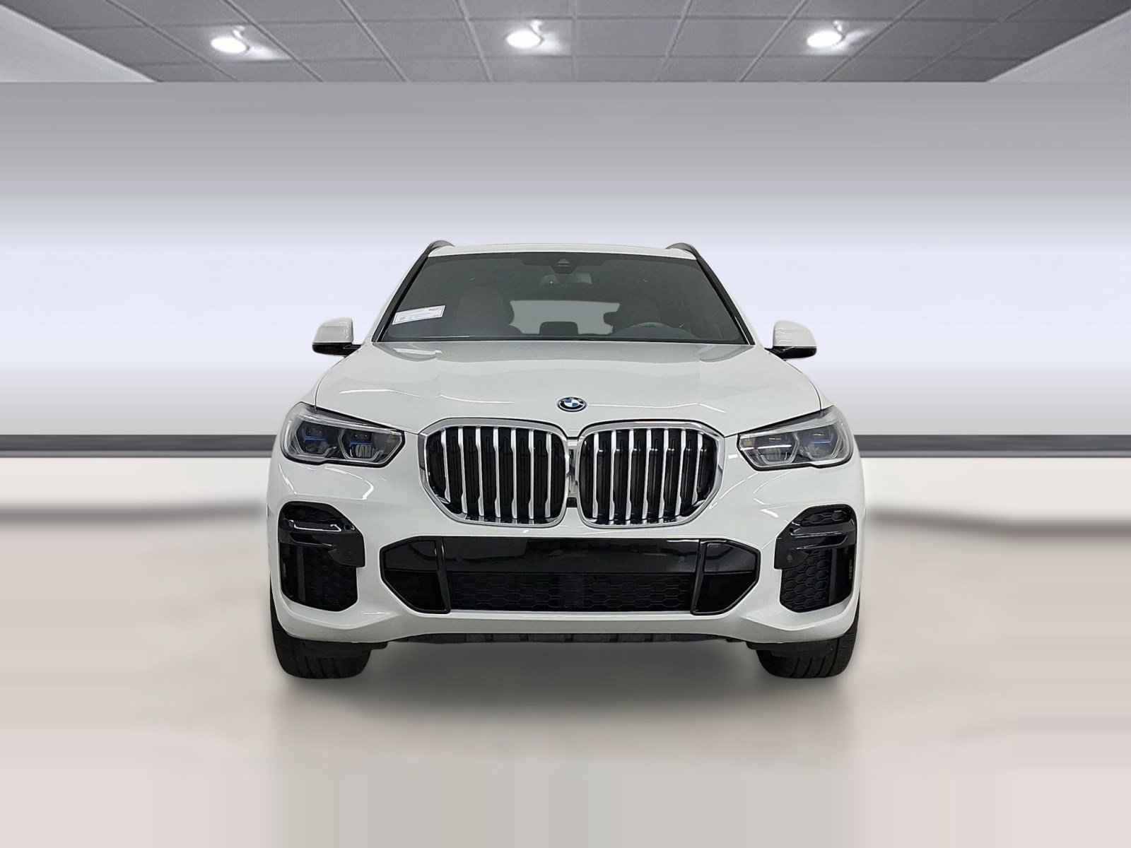 Used 2023 BMW X5 xDrive45e w/ Executive Package image 5