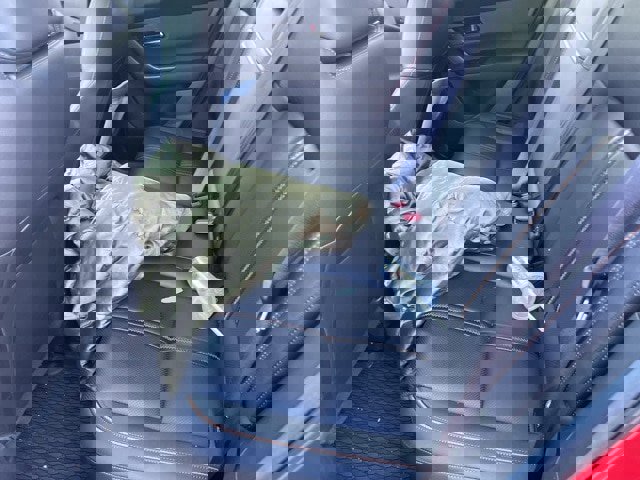 Used 2024 MAZDA CX-50 AWD 2.5 S w/ Weather Package image 10